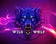 Wild Wolf